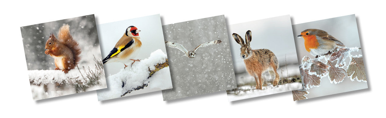 TWT Christmas Mixed pack 120mm