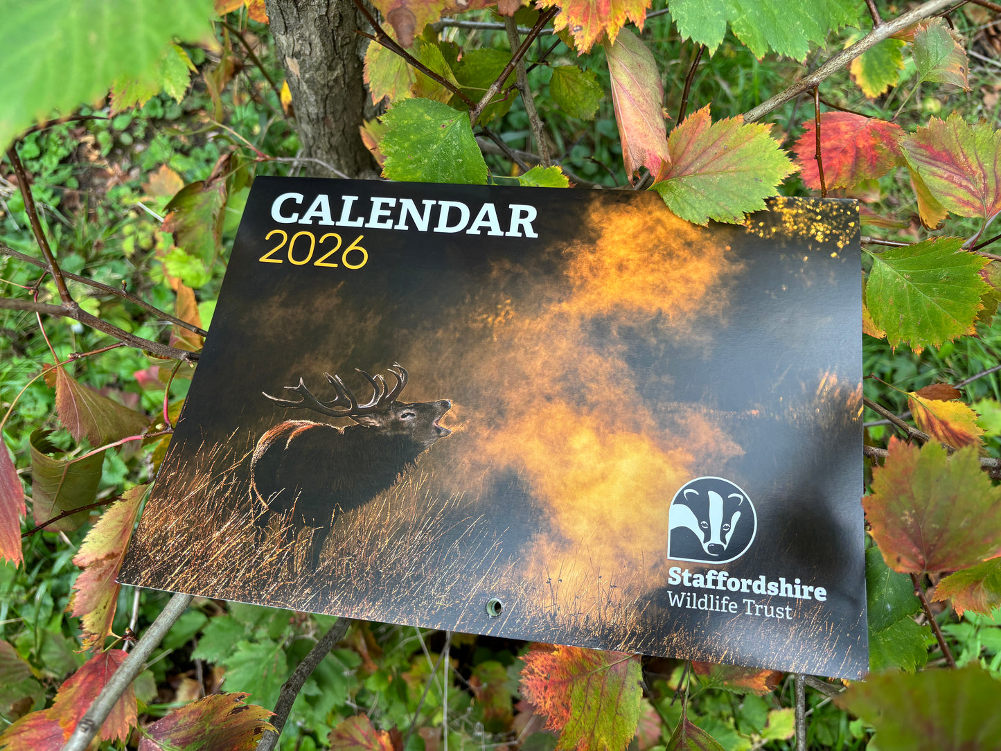 2026 Staffordshire Wildlife Trust Calendar