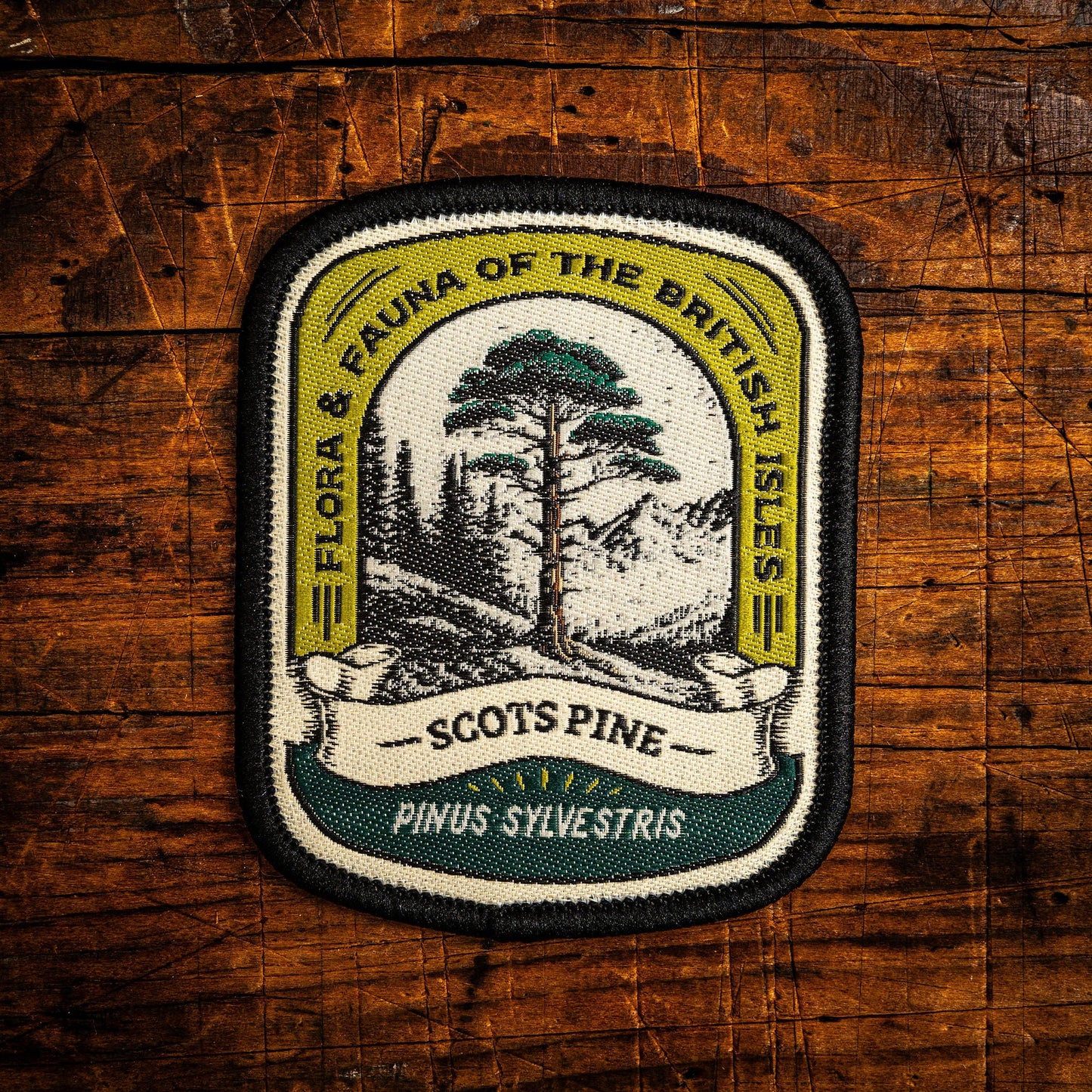 Adventure Patch - Scots Pine