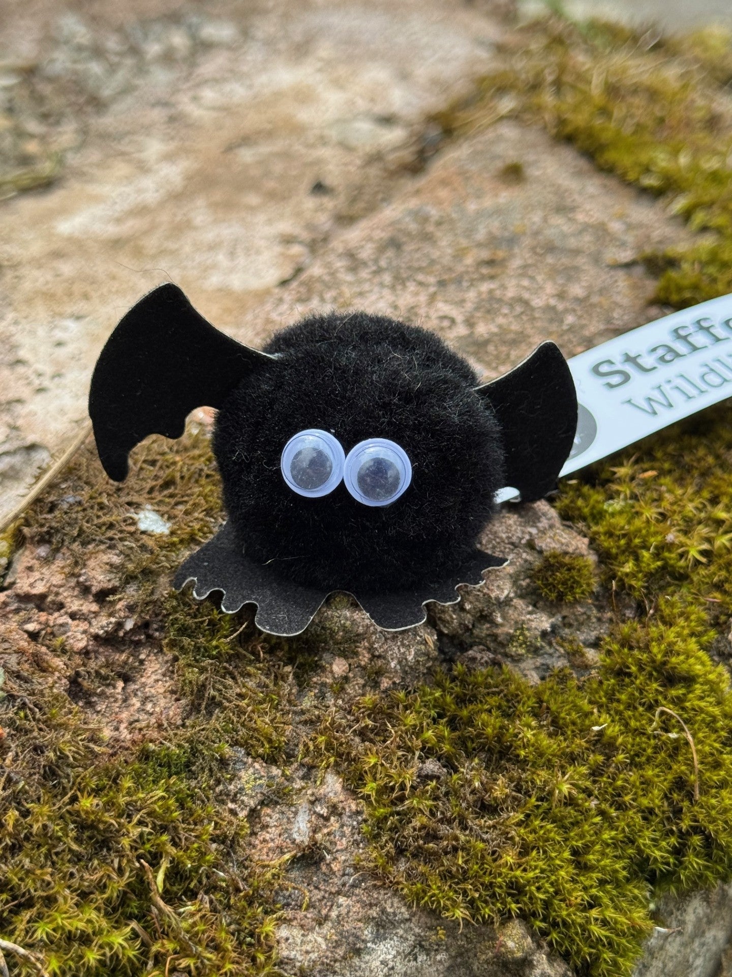 SWT Bugz - Bat