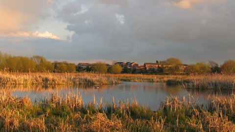 Fishing Permit For Doxey Marshes