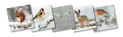 TWT Christmas Mixed pack 120mm