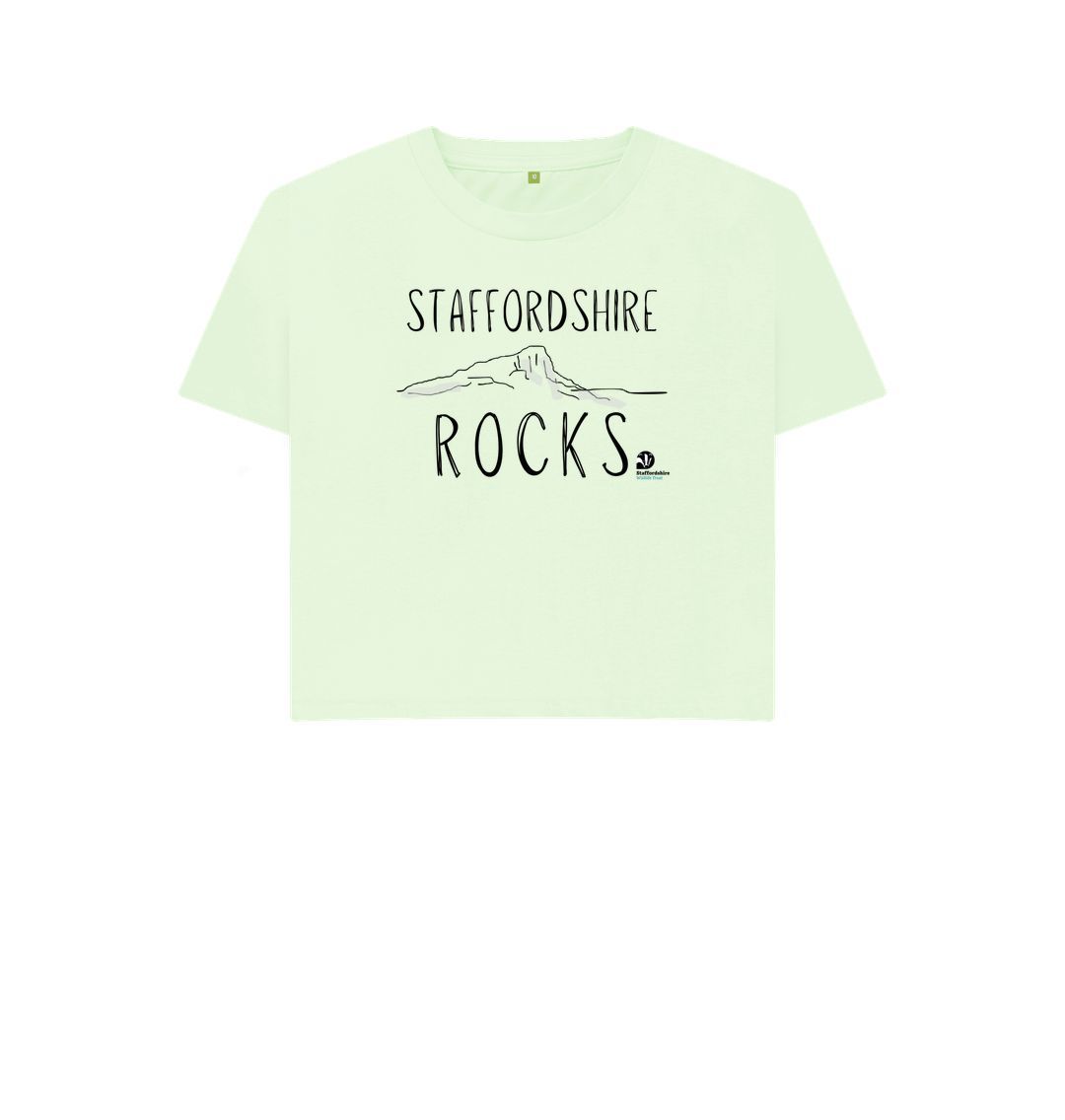 Pastel Green Staffordshire Rocks boxy tee
