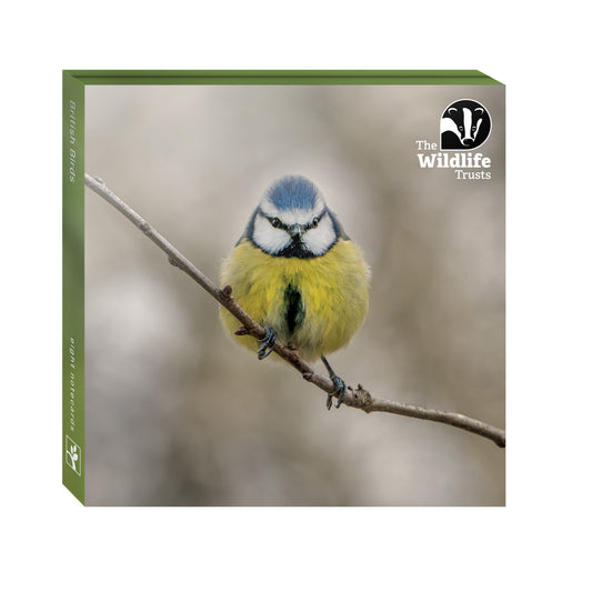 Wildlife Trust British Bird Notecard Wallet