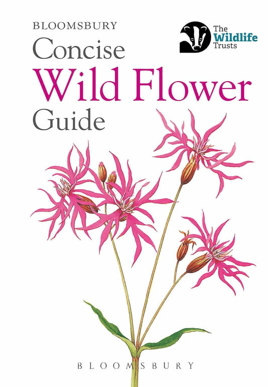 Bloomsbury Concise - Wildflower