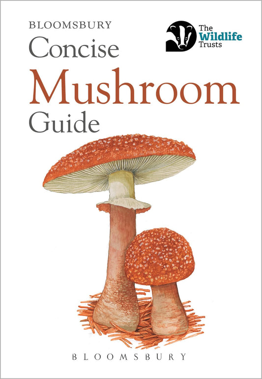 Bloomsbury Concise - Mushroom