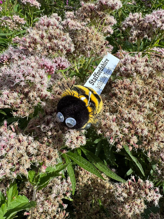 SWT Bugz - Bee