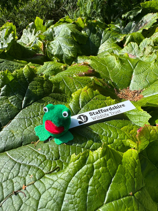 SWT Bugz - Frog