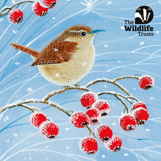 TWT Mixed Art Christmas Cards