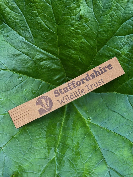 SWT Bookmark