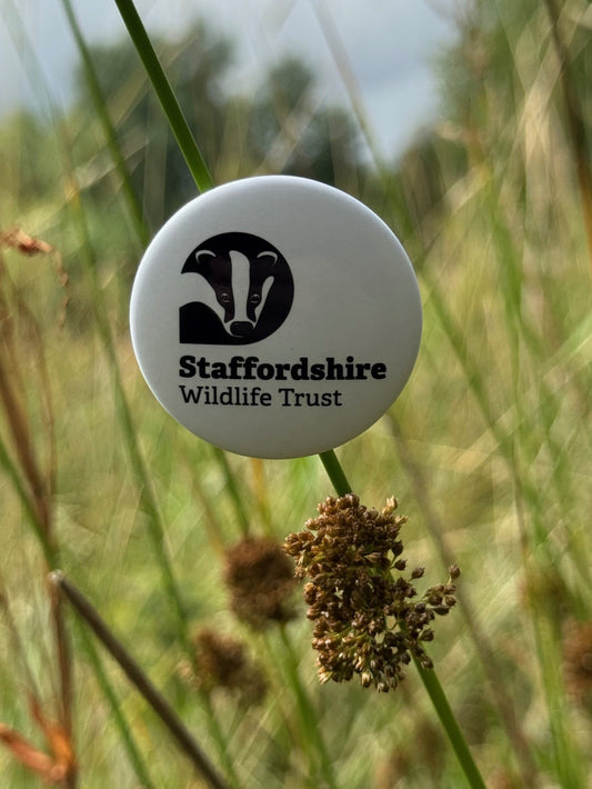 SWT Button Badge