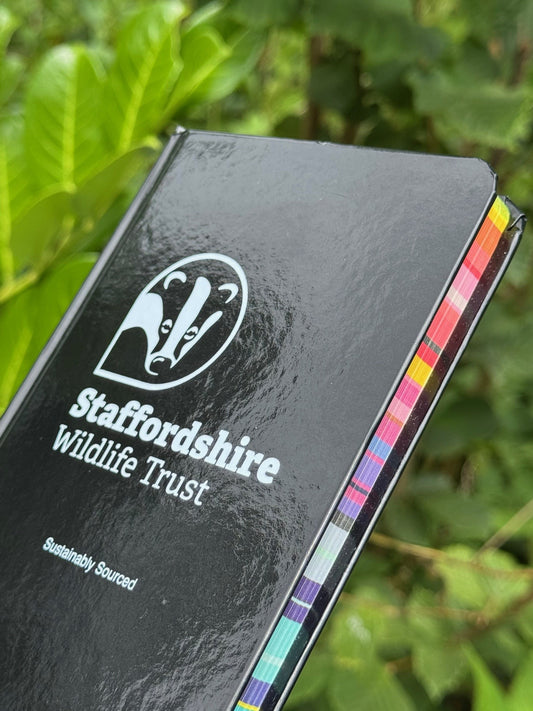 SWT Notebook