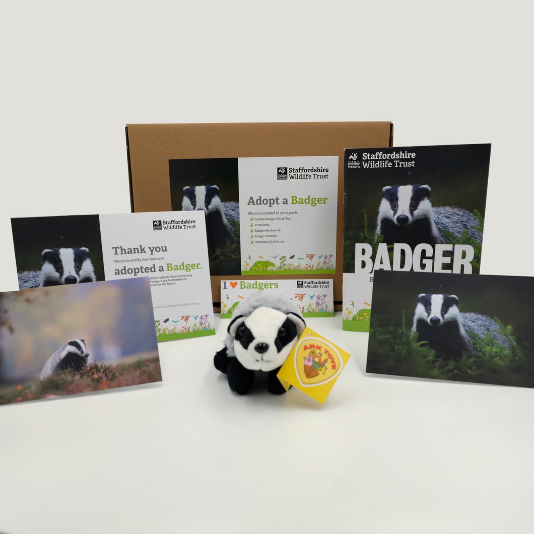 Badger Adoption Pack