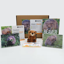 Load image into Gallery viewer, Beaver Adoption Pack
