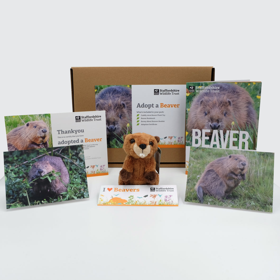 Beaver Adoption Pack