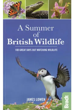 A Summer Of British Wildlife